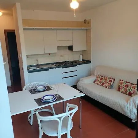 Apartment Bilocale In Cir 017067-lni-00151 Desenzano del Garda